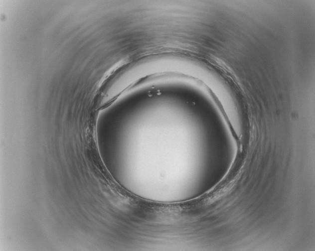 X0000058121210200510212012