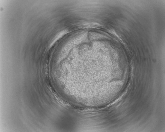 X0000058121211200510212012