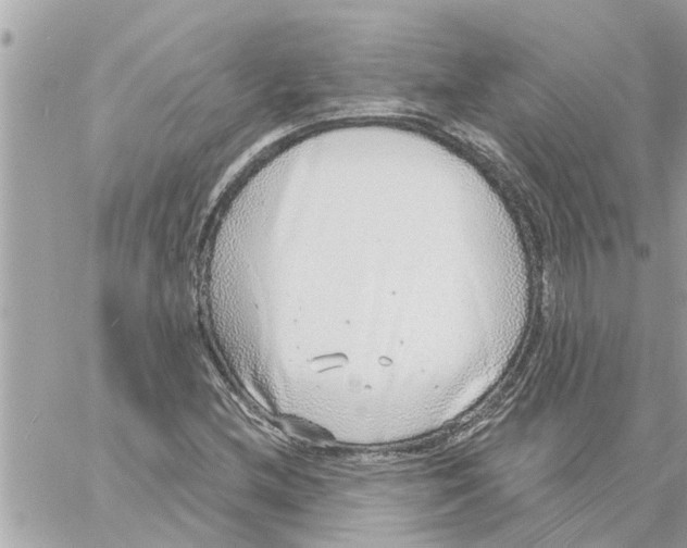 X0000058121212200510212012