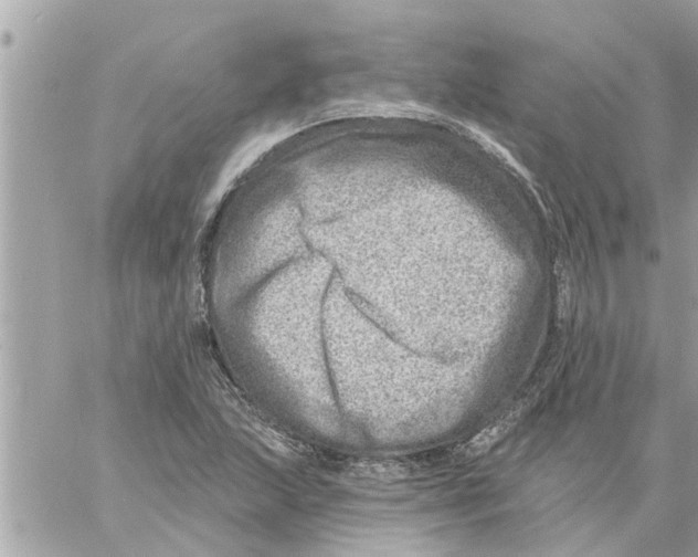 X0000058121215200510212012