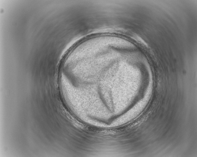 X0000058121216200510212012