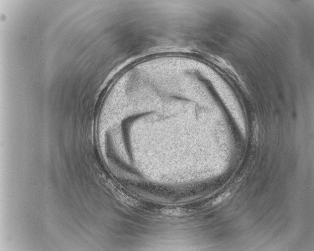 X0000058121220200510212012