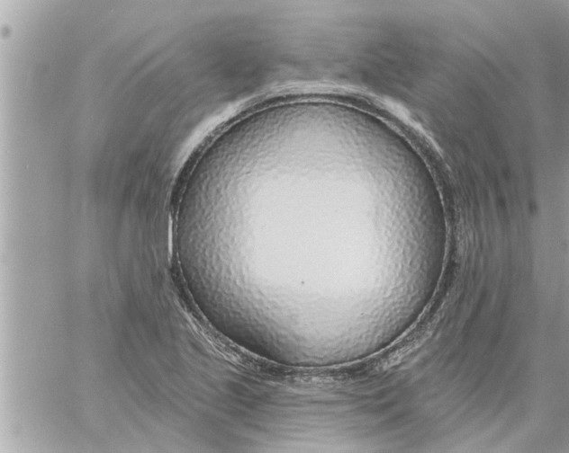 X0000058121221200510212012