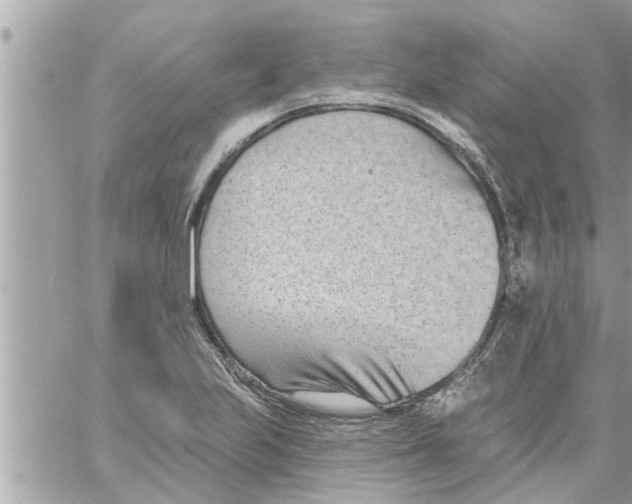 X0000058121223200510212012