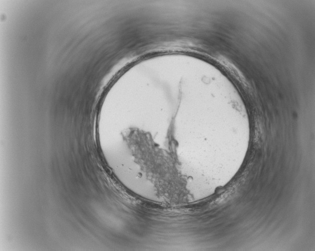 X0000058121224200510212012