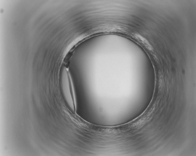 X0000058121226200510212012