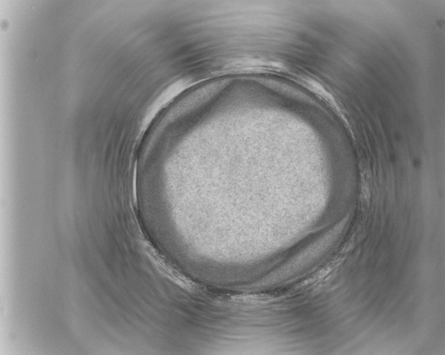 X0000058121227200510212012