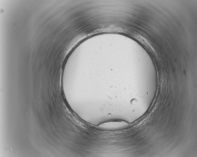 X0000058121228200510212012