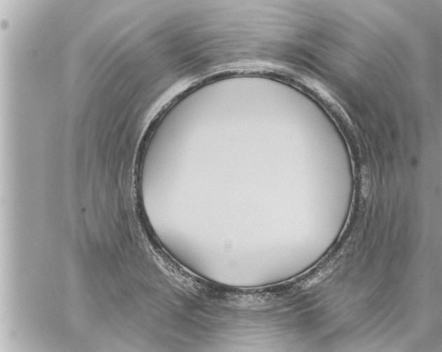 X0000058121229200510212012