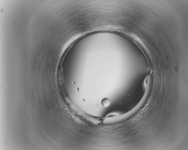 X0000058121230200510212012