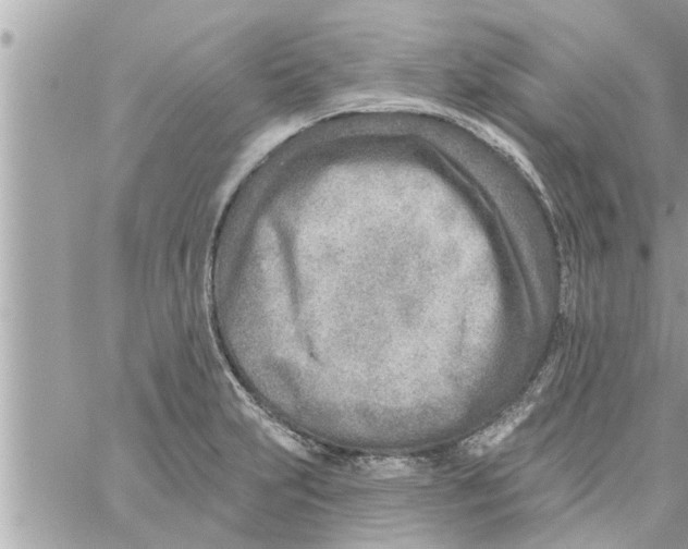 X0000058121231200510212012