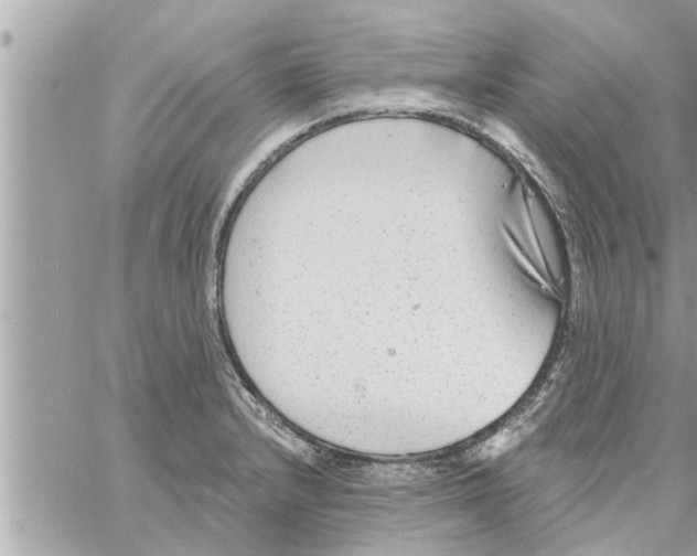 X0000058121232200510212012