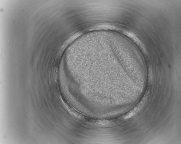 X0000058121233200510212012