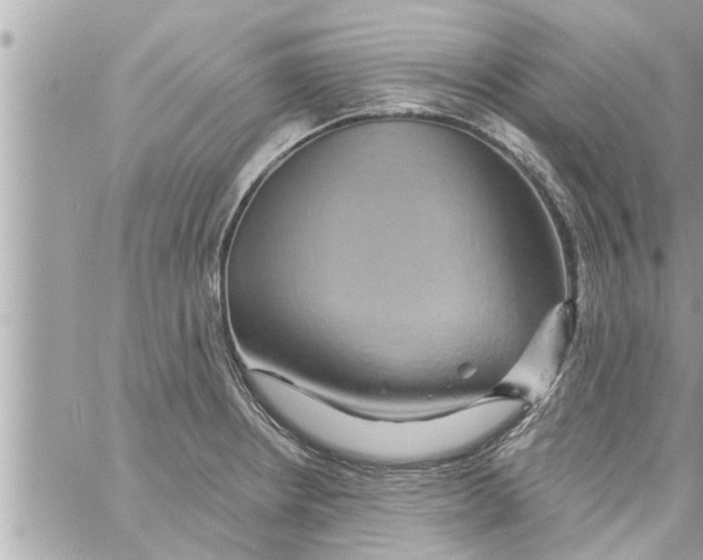 X0000058121234200510212012