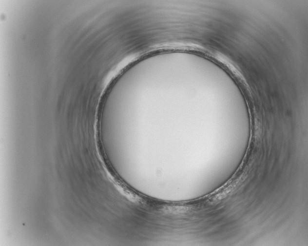 X0000058121237200510212012