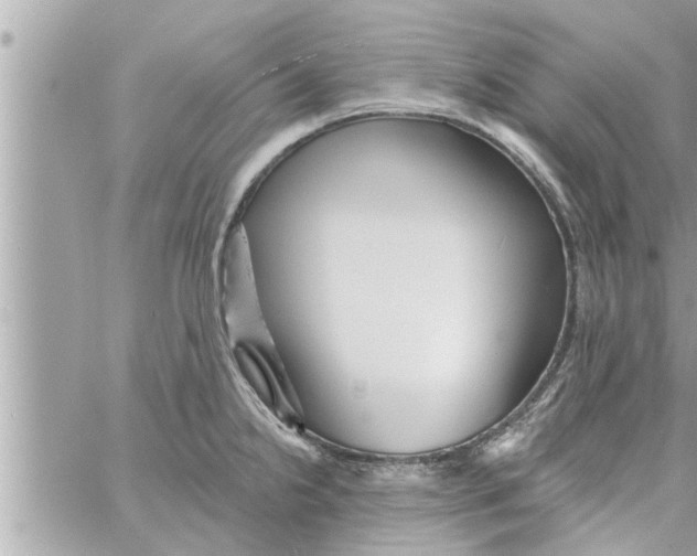 X0000058121238200510212012