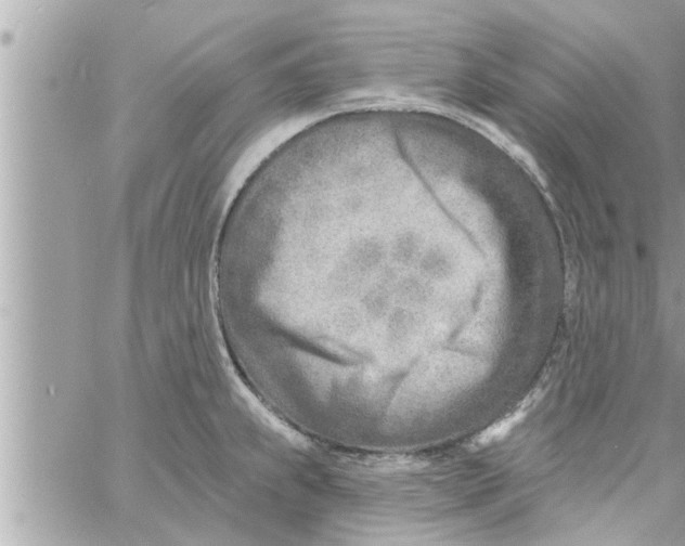 X0000058121239200510212012