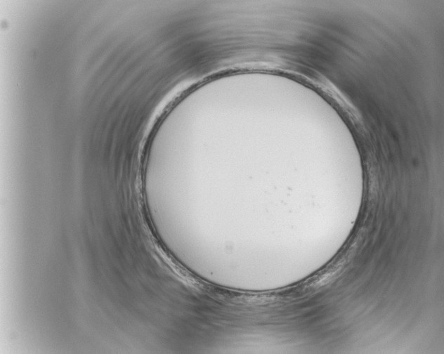 X0000058121240200510212012