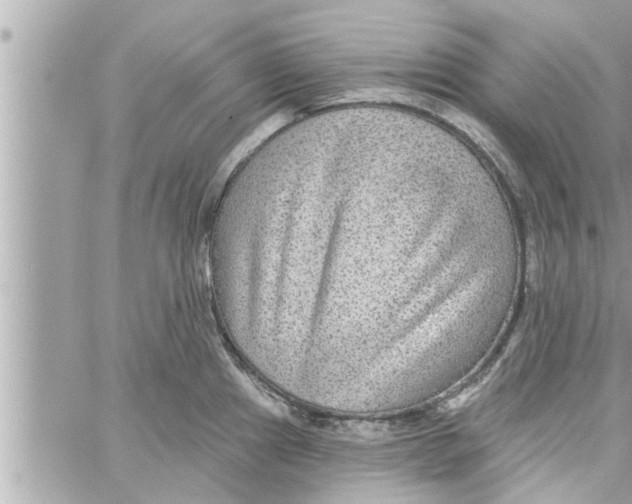 X0000058121241200510212012