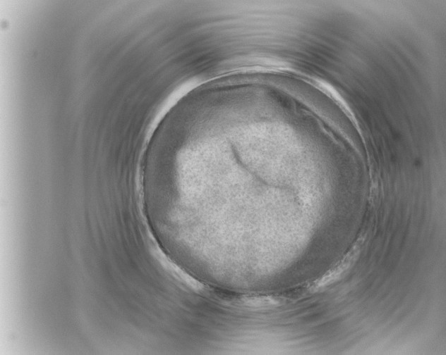 X0000058121243200510212012