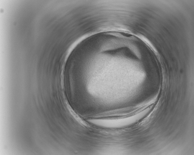 X0000058121246200510212012