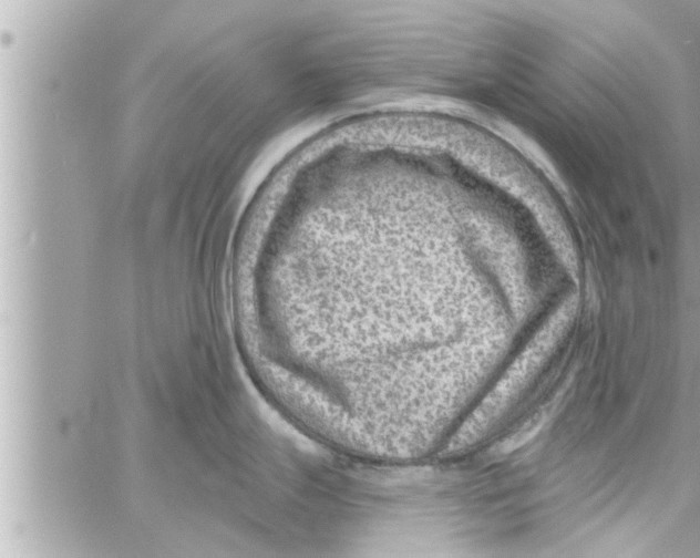 X0000058121247200510212012