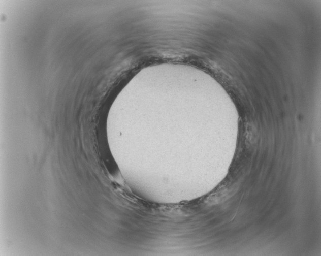 X0000058121249200510212011