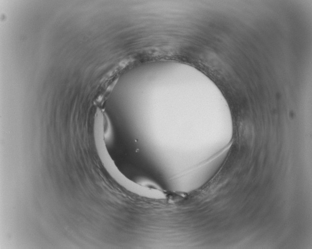 X0000058121250200510212011