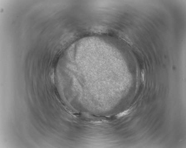 X0000058121251200510212011