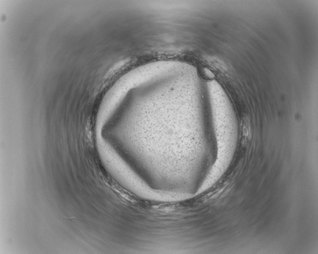 X0000058121252200510212011