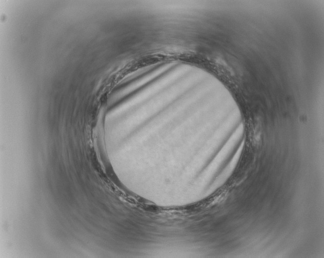 X0000058121253200510212011