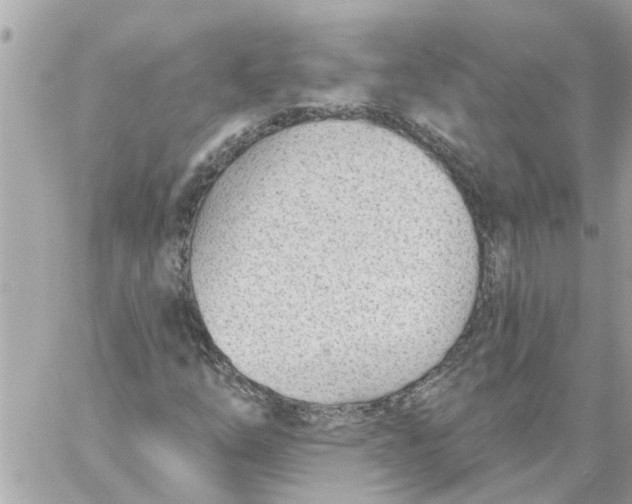 X0000058121254200510212011