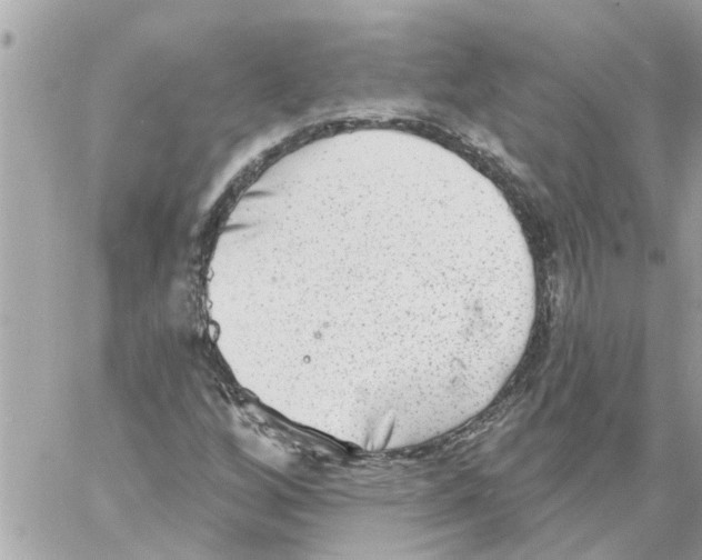 X0000058121256200510212011