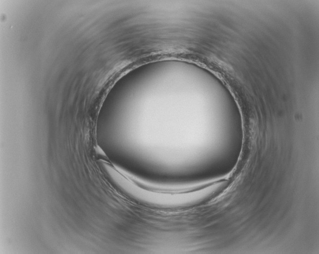 X0000058121257200510212011