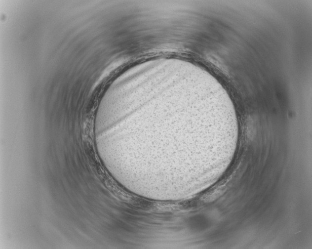 X0000058121258200510212011