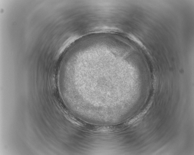 X0000058121259200510212011