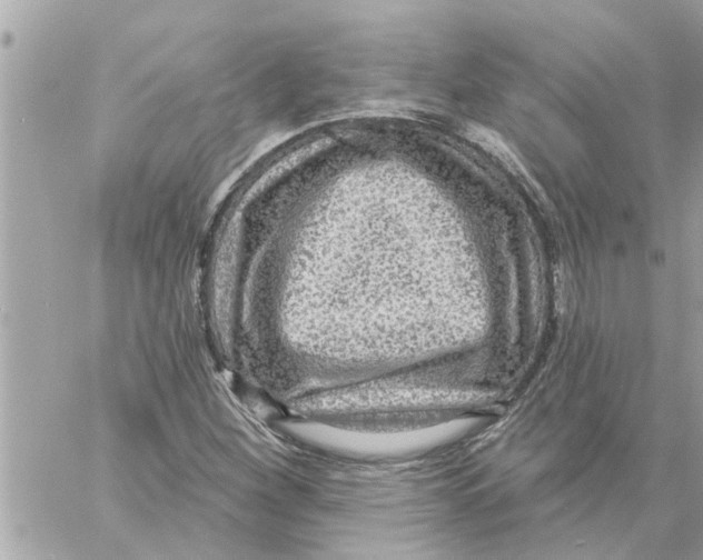 X0000058121260200510212011