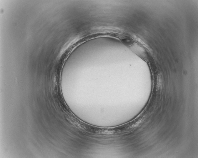 X0000058121261200510212011