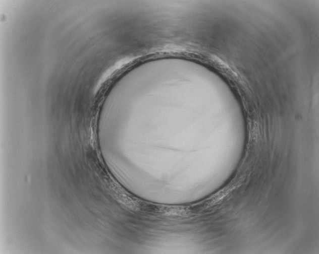 X0000058121262200510212011