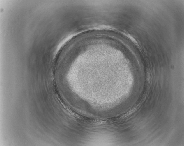 X0000058121263200510212011