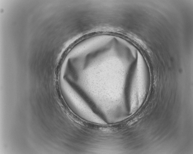 X0000058121264200510212011