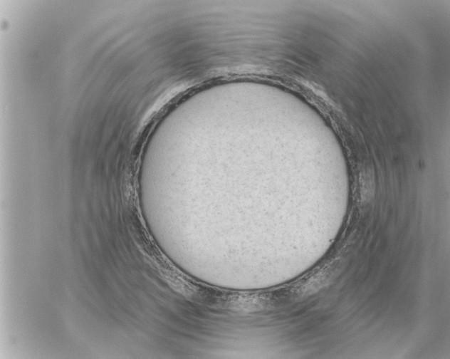 X0000058121266200510212011