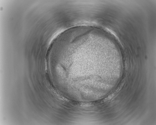 X0000058121267200510212011