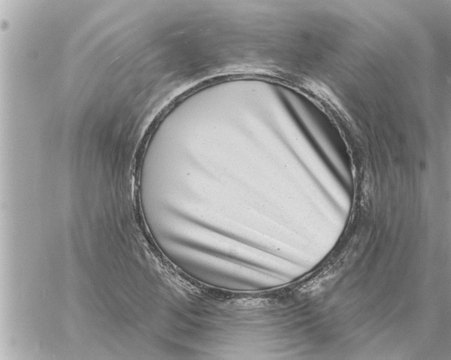 X0000058121268200510212011