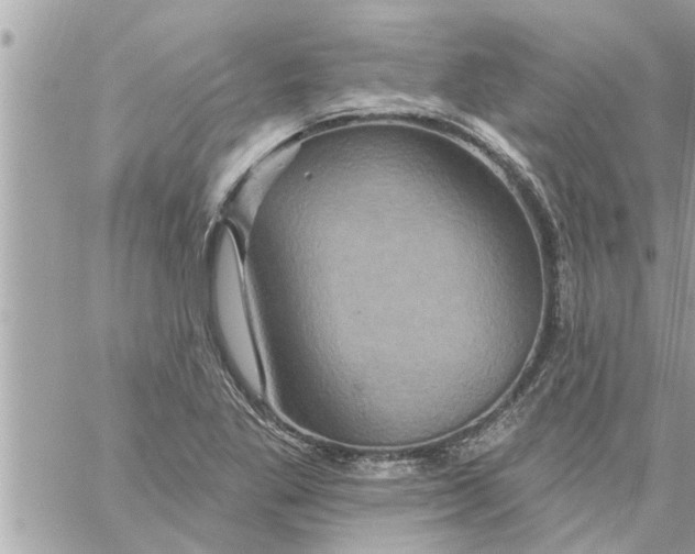 X0000058121269200510212011