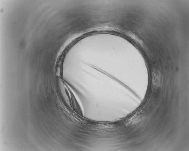 X0000058121270200510212011