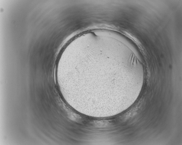 X0000058121272200510212011