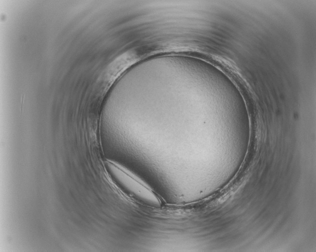 X0000058121273200510212011