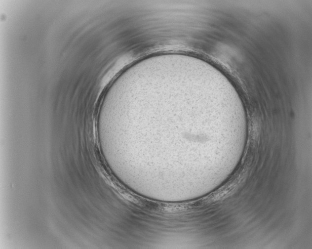 X0000058121274200510212011