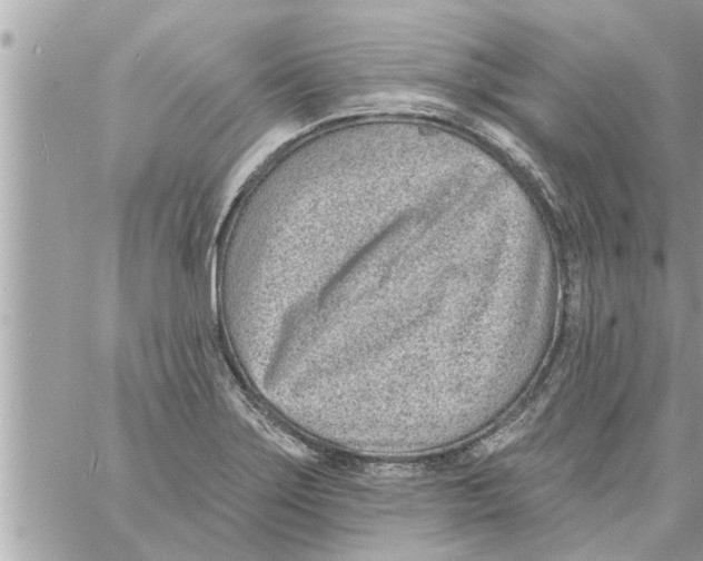 X0000058121275200510212011